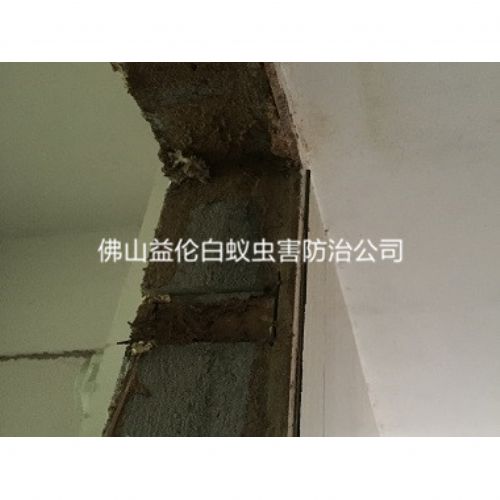 和顺白蚁防治新房屋门框蚁害